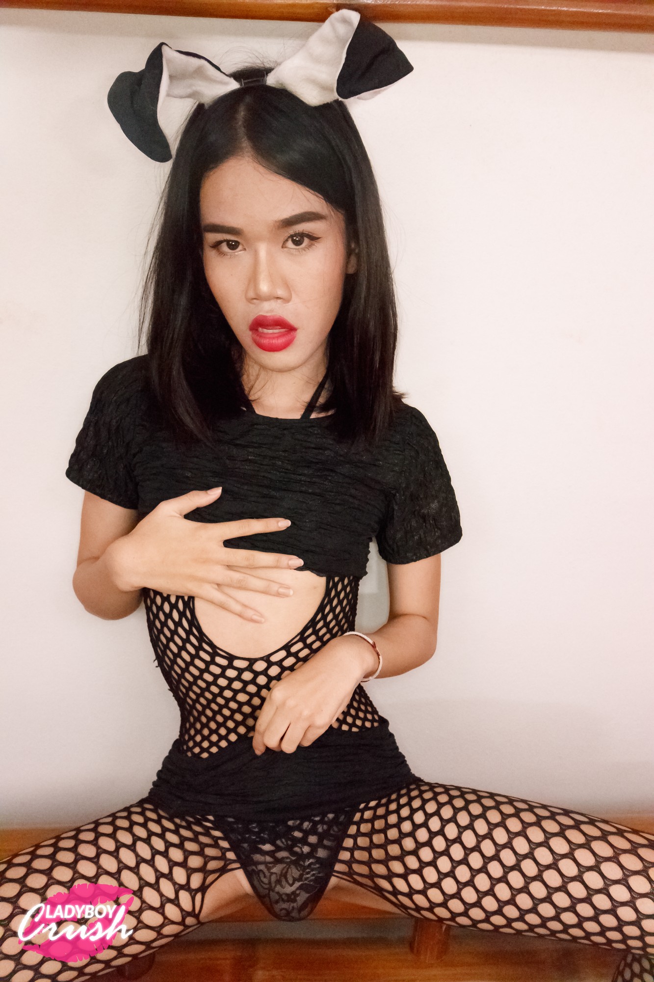 Ladyboy Crush Huge - LadyboyCrush.com | Exclusive Hardcore Ladyboy Fucking